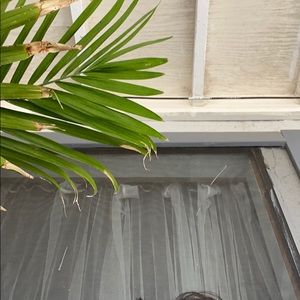 Meet your Posher, Raul